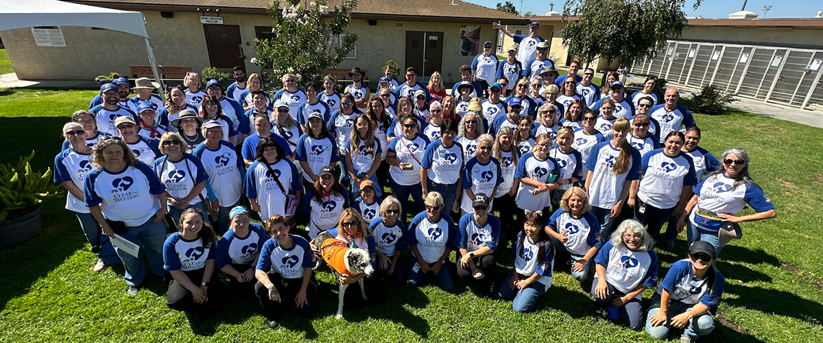 VCAS helping animals and communities every day